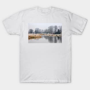 Surrey Winter Landscape T-Shirt